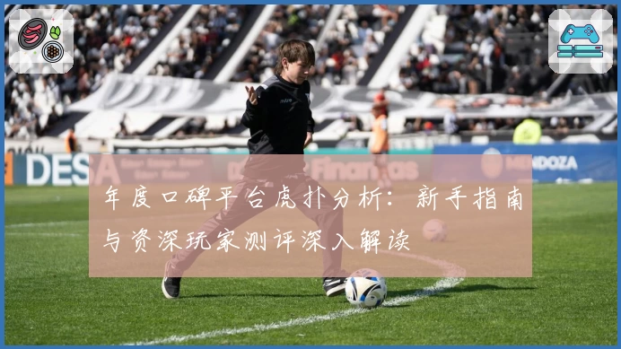 年度口碑平台虎扑分析：新手指南与资深玩家测评深入解读