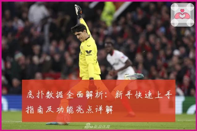 虎扑数据全面解析：新手快速上手指南及功能亮点详解