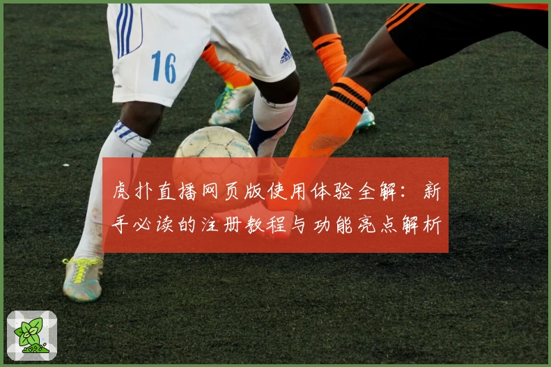 虎扑直播网页版使用体验全解：新手必读的注册教程与功能亮点解析