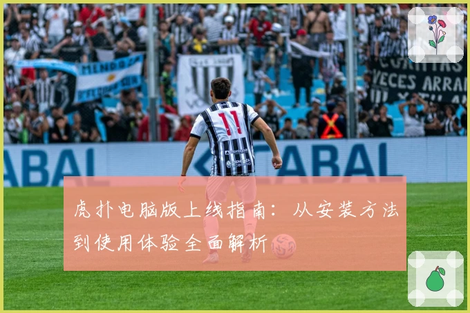 虎扑电脑版上线指南：从安装方法到使用体验全面解析